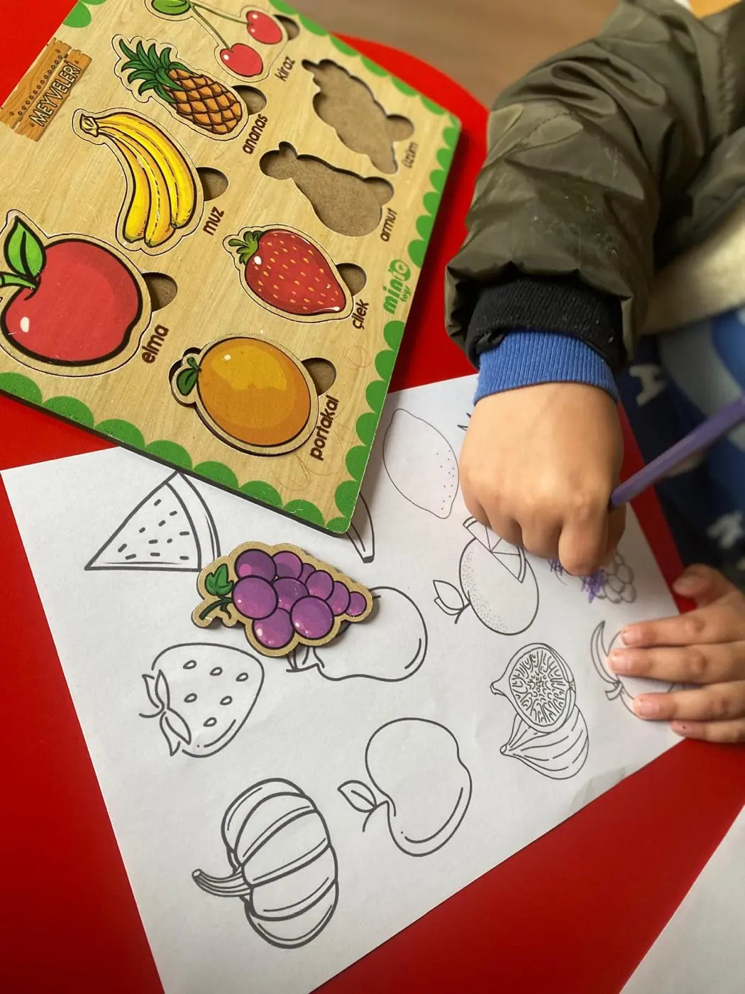 Ahşap meyve puzzle ile eşleştirme çalışması yapan çocuk
